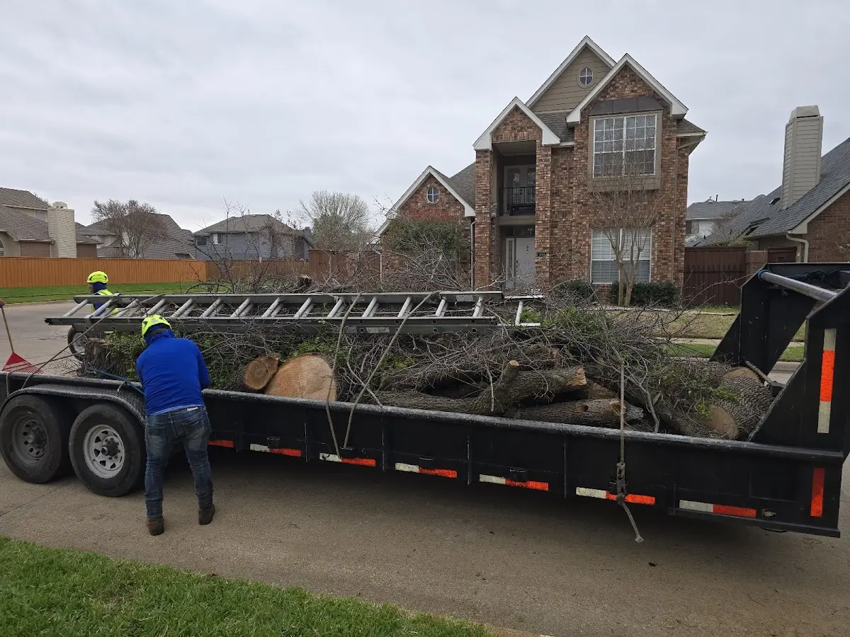 Expert Tree Pest Control with proper safety equipment in Minburn